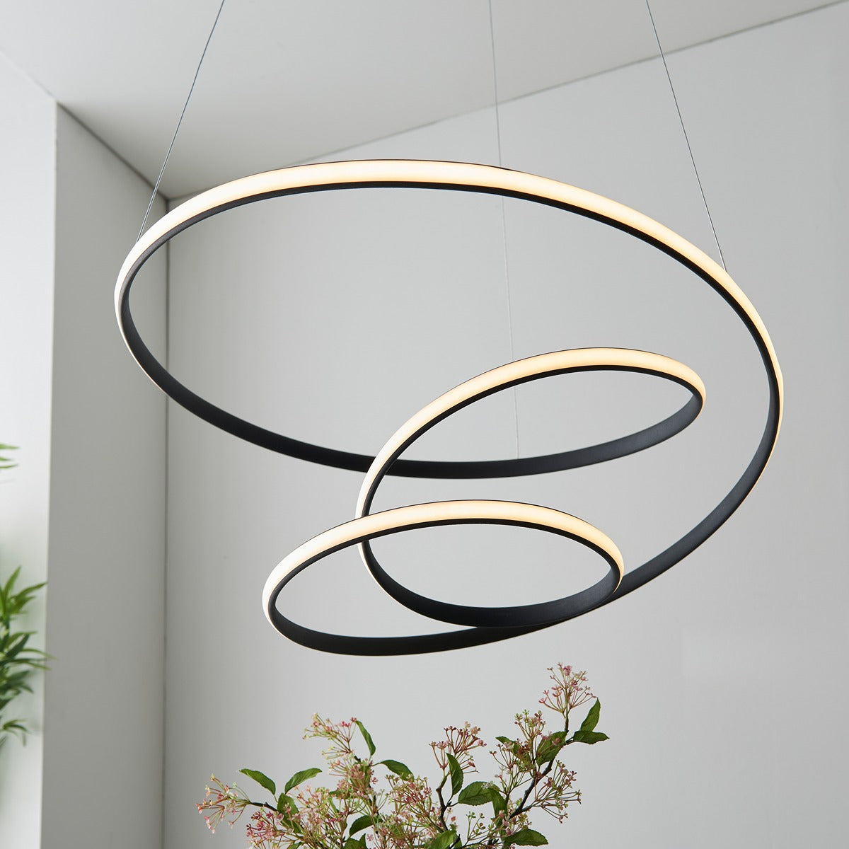 Dune Pendant Light - Black