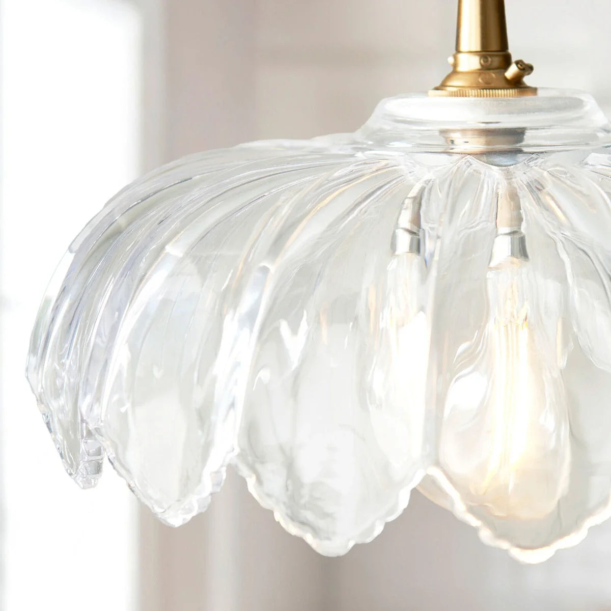 Camellia 1 Pendant Light - Clear