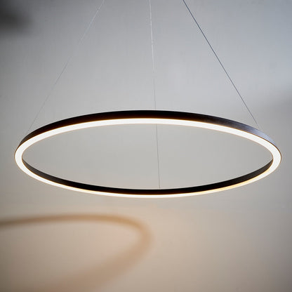 Staten Hanging Circle Pendant Light - Black