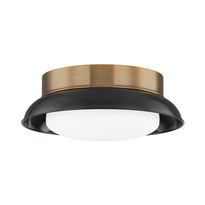 Arnie 2 Light Flush Mount - Patina Brass & Gloss Black