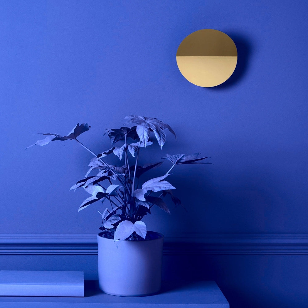 Round Diffused Wall Light - Brass